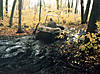 Muddin_10-13-01_AJ_Max-02.jpg