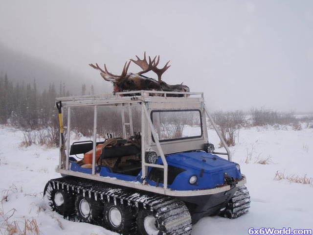 09 avenger moose hunt