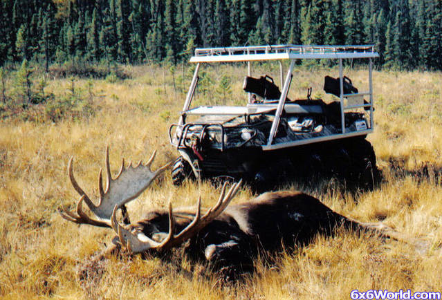 Who_shot_Bullwinkle_