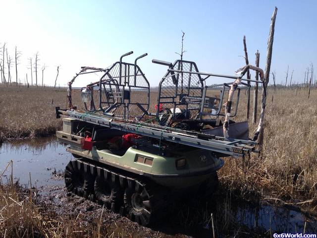 moving marsh stands