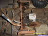 the bobcat 011.JPG