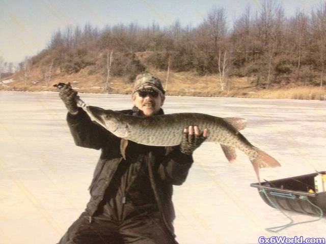 St.Lawrence River Monsters