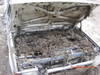 PICT0009.JPG