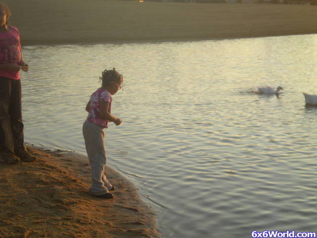 DSCN1026